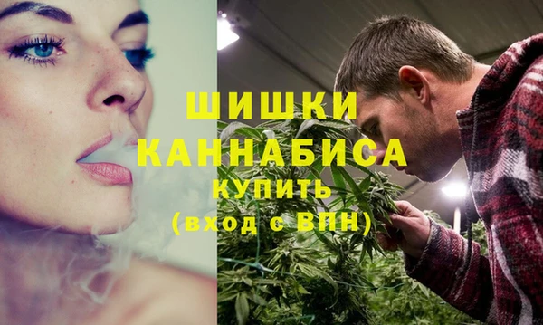ешки Гусев