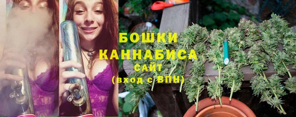 ешки Гусев
