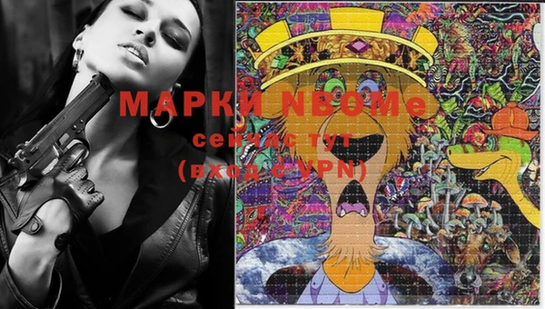 крисы Дмитров