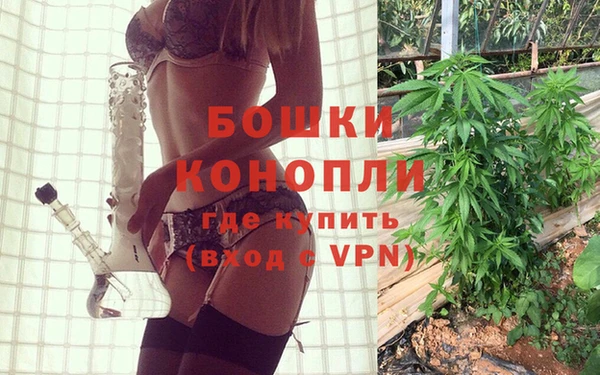 прущие грибы Дмитровск