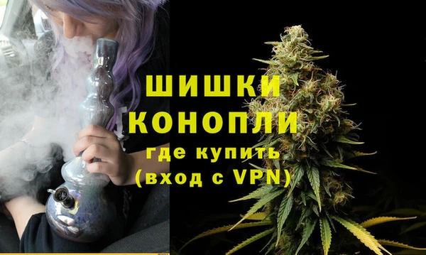 ешки Гусев