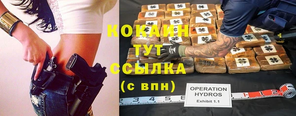эйфоретик Дмитриев