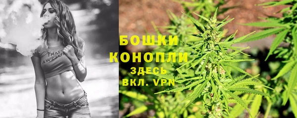 прущие грибы Дмитровск