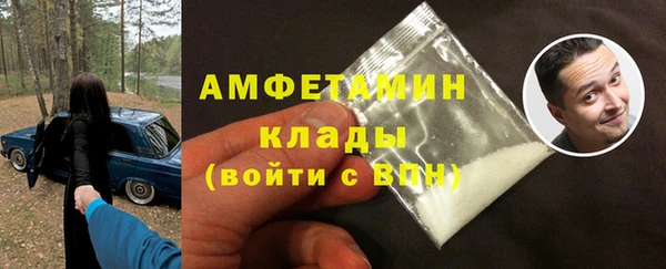прущие грибы Дмитровск