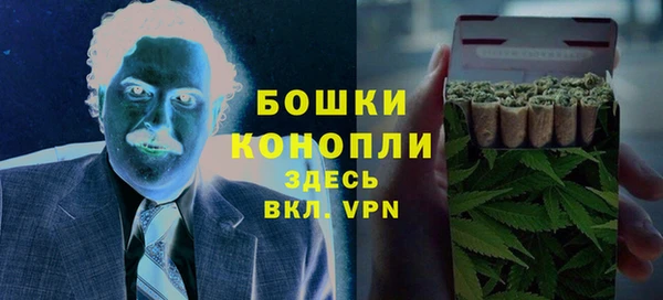 прущие грибы Дмитровск