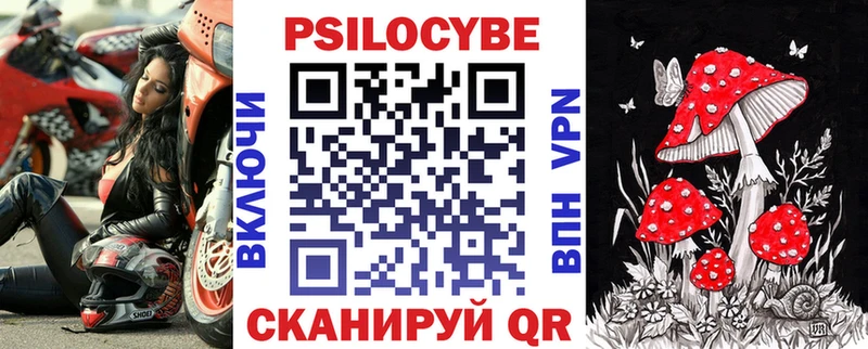 купить наркотик  Красноярск  Галлюциногенные грибы Cubensis 